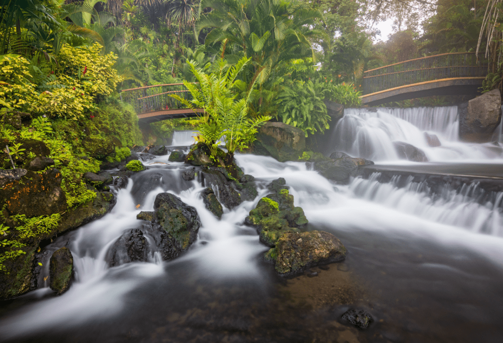 Natural Hot Springs