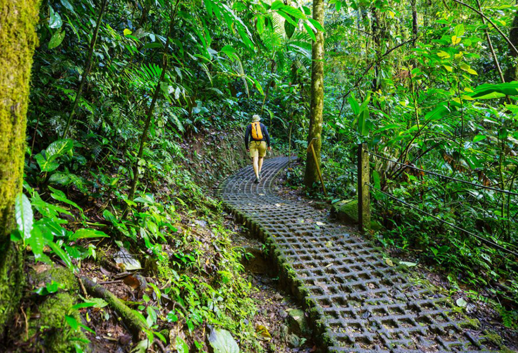 Near Arenal Volcano 